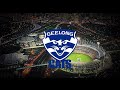 Geelong cats road to the 2022 afl premiership