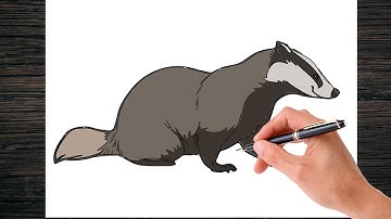 How To Draw a Badger - Step By Step | Tutorial