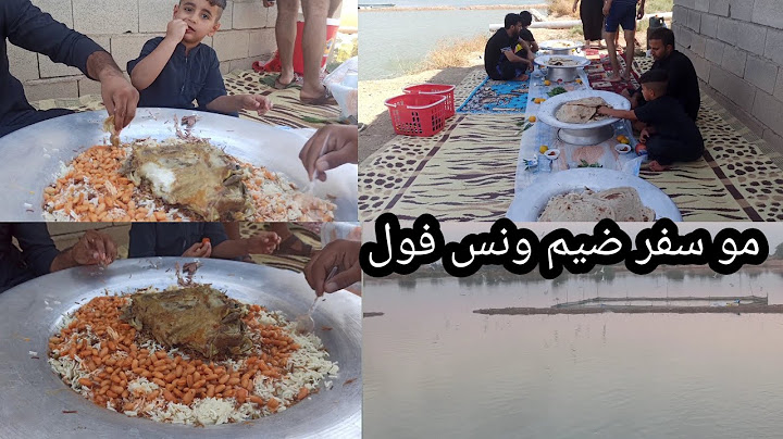 احلة سفره سفوري طبخ مفطح ونس فول