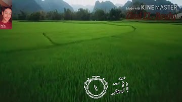 أوائل سورة الروم // زياد البوهي //