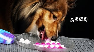ASMR Fidget Pop it Frozen Milk 🐶 Dog Eating Sounds Tingly Crunchy and Satisfying