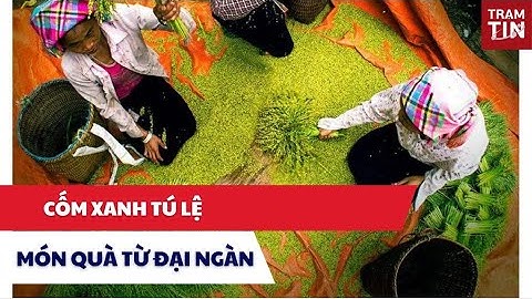 Cốm xanh Tú Lệ - món quà từ đại ngàn