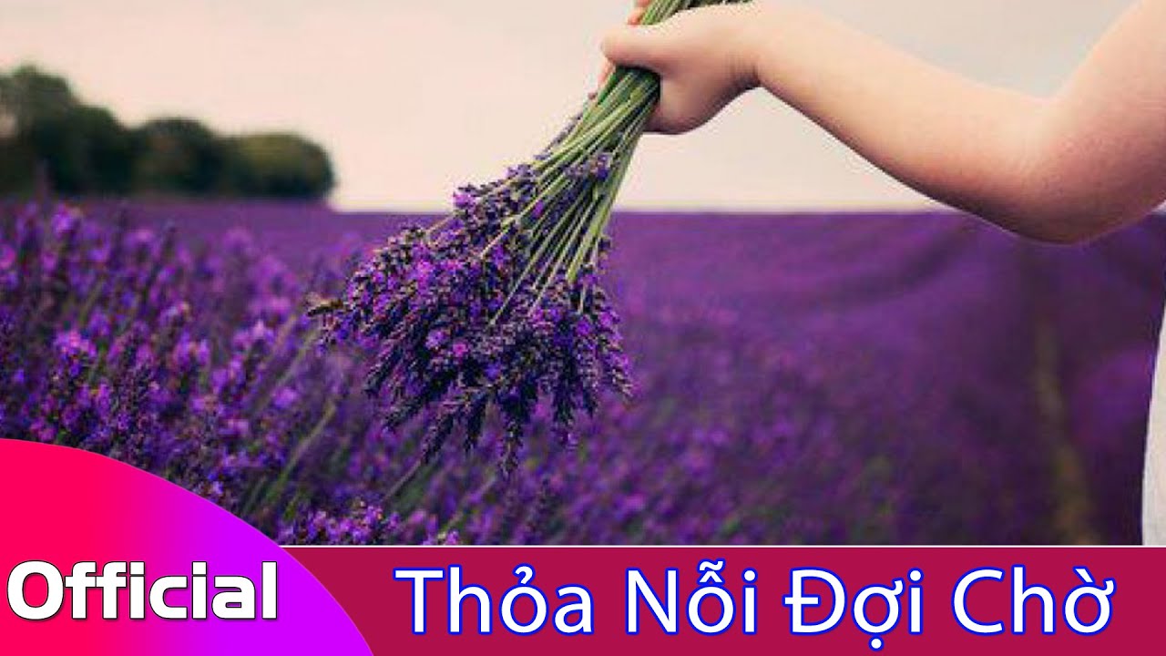 [Dân Ca Bắc Bộ] Thỏa Nỗi Đợi Chờ - NSƯT Thùy Linh ft. NSƯT Tuấn Tài