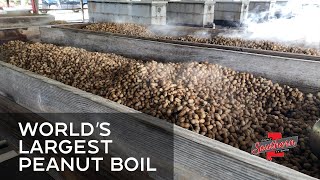 Show 703A World's Largest Peanut Boil