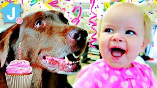 1st Birthday Dog Surprise