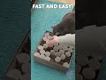 Cats Will Love This Trick! 😸🐾 #funny