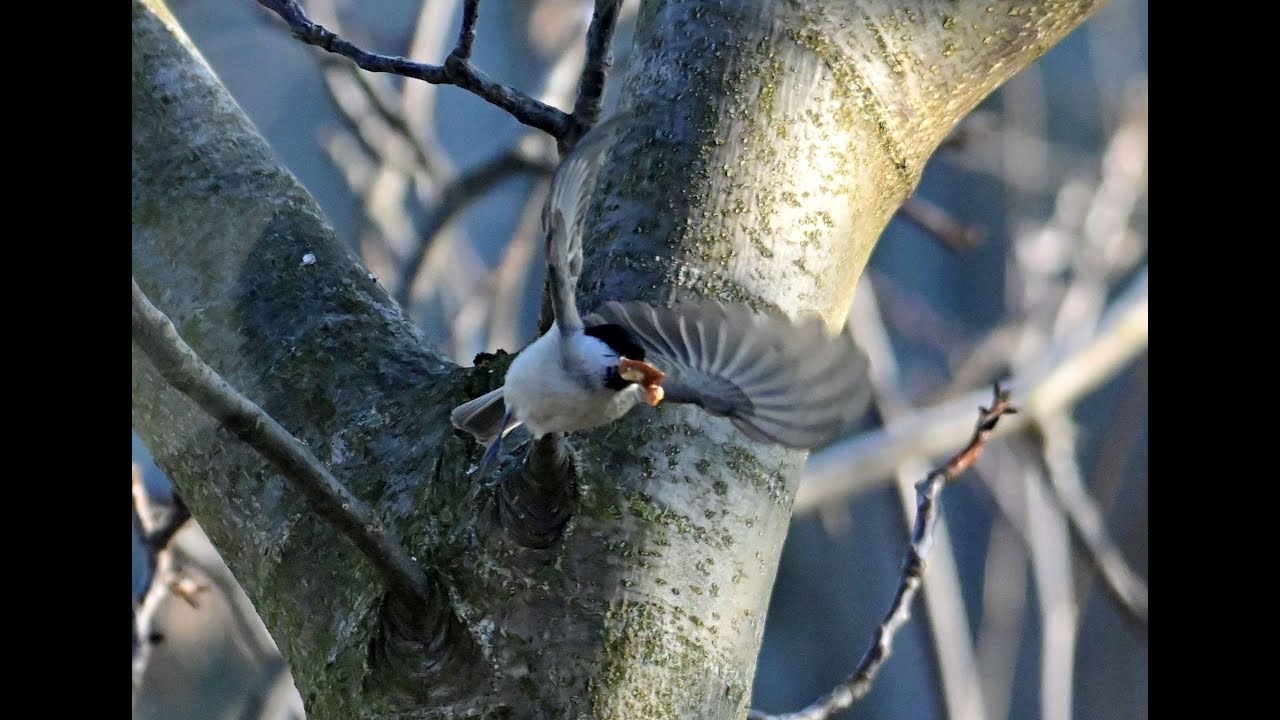 Společná snídaně s babkou
