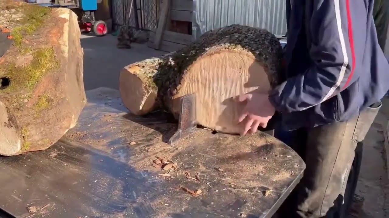 Гора лиственных пород дерева