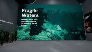 Visual Impairments Simulation Video for Science Museum Lates Exhibition