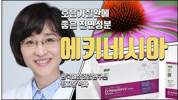 호흡기질환에 좋은 천연성분 - 에키네시아의 해외임상 사례 및 최신지견