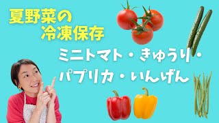 【夏野菜の冷凍保存２】丸ごと冷凍もできる！ミニトマト・きゅうり・パプリカ・いんげんの冷凍保存。保存から食品ロス削減！