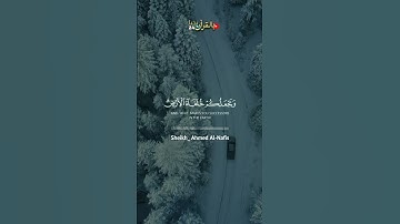 الشيخ احمد النفيس(أمن يجيب المضطر)حالات واتس.قران كريم