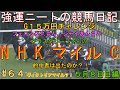 強運ニートの競馬日記＃64、NHKマイルC、５月8日㈰編