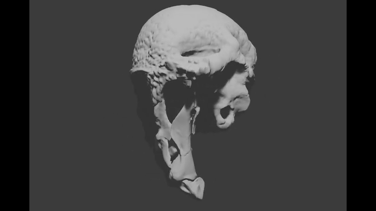 最古の「頭突き恐竜」化石を発見、新属新種の「ザヴァケファレ