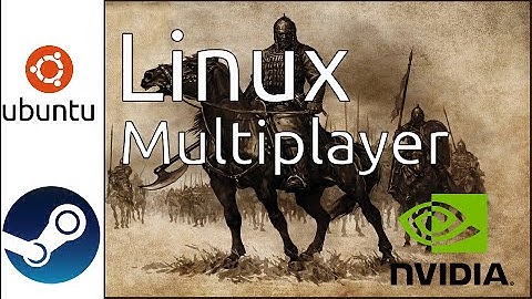 Mount and Blade SteamOS/Linux multiplayer gameplay GTX 750 Ti