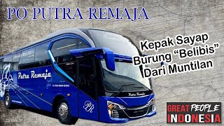 KISAH OWNER PO PUTRA REMAJA MENDIRIKAN PO BUS YANG BERJULUK BURUNG BELIBIS DARI MUNTILAN