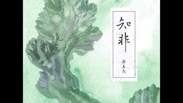 Xie Chun Hua - Zhi Fei