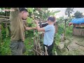 Full video : Building a life with my husband in a simple bamboo house - My daily life