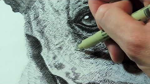 Cross Hatching Demonstration: Moe the Dog