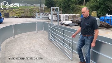 Sheep Handling System | Condon Engineering