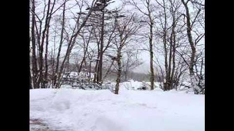 Clinometer and Tree Measurement