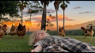 🐥 Sunset snuggles and chicken cuddles.🦴 🐾
