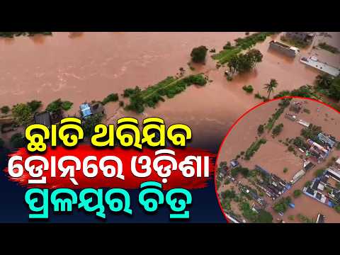 ବାତ୍ୟା ଆଣିଲା ପ୍ରଳୟ ! ଛାରଖାର ଓଡ଼ିଶା...| Cyclone Impact | Argus Digital