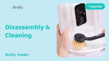 How to Disassemble and Clean Your Birdfy Feeder - Birdfy Feeder Tutorial