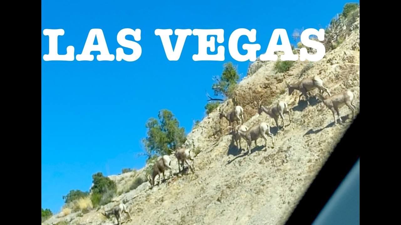 Las Vegas Snow Hump to Pahrump & Las Vegas homes for sale update