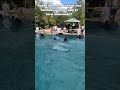 We engage in Swimming games during our trips. #fun #enjoy #smile #love #music #dance #swim #safari