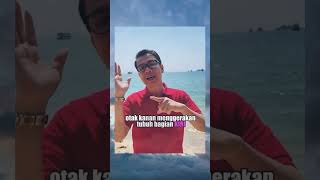 Download Lagu Cara Berpikir Otak Kanan Dan Otak Kiri #youtubeshort  #otaku MP3