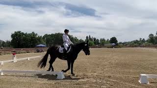 2019 USEF Second Level Test 3