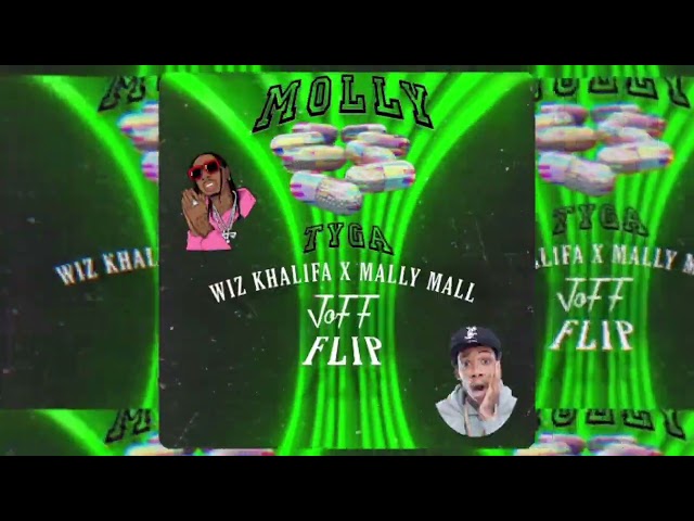 Molly - (JoFF Flip) Tyga Ft. Wiz Khalifa X Mally Mall (OUT NOW) class=