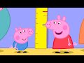 Quelle est la taille de George ? | Peppa Pig Français Episodes Complets