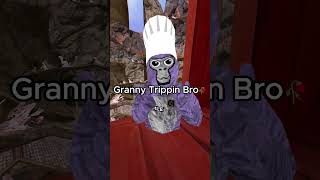Granny Be Trippin Bro  #gorillatag #vr