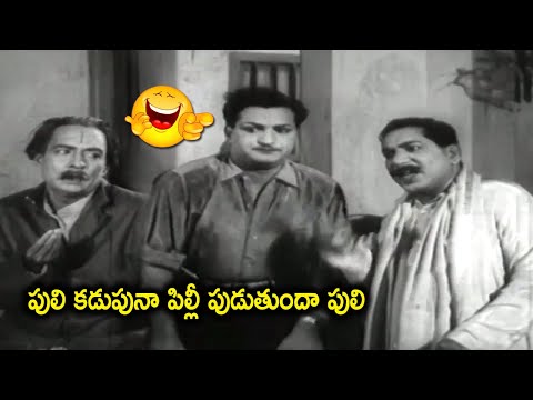 Relangi Venkatramaiah & NTR Comedy Scenes   Comedy Adda