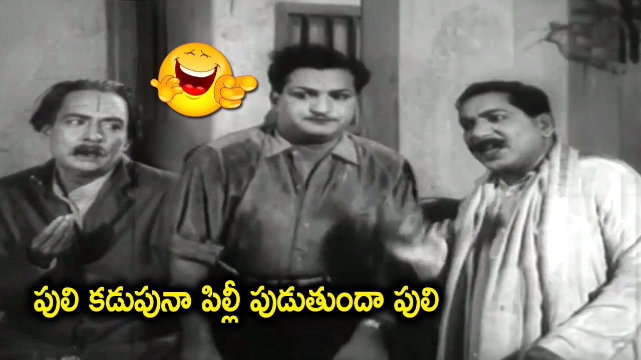 పులి కడుపునా పిల్లీ పుడుతుందా పులి | Relangi Venkatramaiah & NTR Comedy Scenes | Comedy Adda