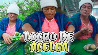 LOCRO DE ACELGA PARA SER FUERTES | Señora Marianita