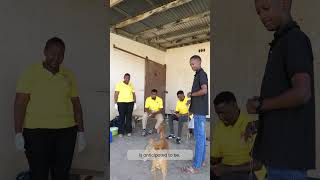 How to run a static point vaccination drive