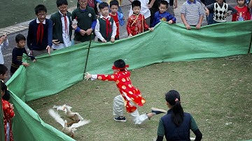 Trò chơi dân gian, Bịt mắt bắt vịt trên cạn (catch ducks on land)