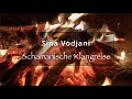 Capture de la vidéo Sina Vodjani - Schamanische Klangreise