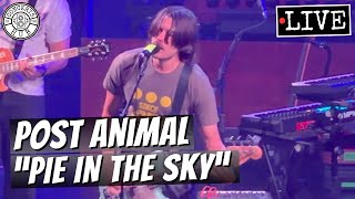 Post Animal "Pie in the Sky" LIVE