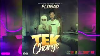FLO GAD - TEK CHARGE (OFFICIAL AUDIO )2024