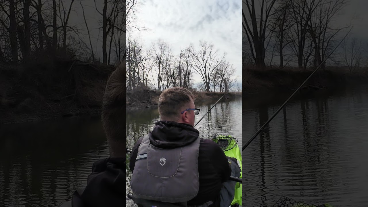 Searching for fish on a new creek 