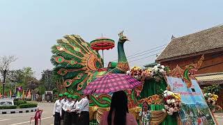 ຂະບວນແຫຈາກເມືອງຕາງໆຫລວງພະບາງ( parade from each province LPB)