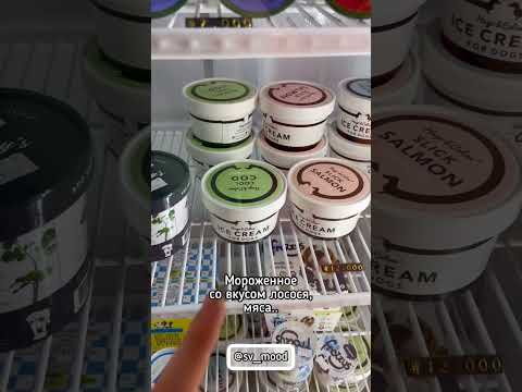 Каково живётся собакам в Корее?