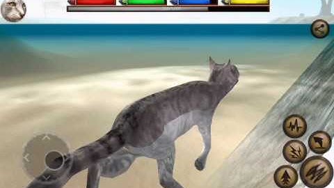 Ultimate Cat Simulator №1