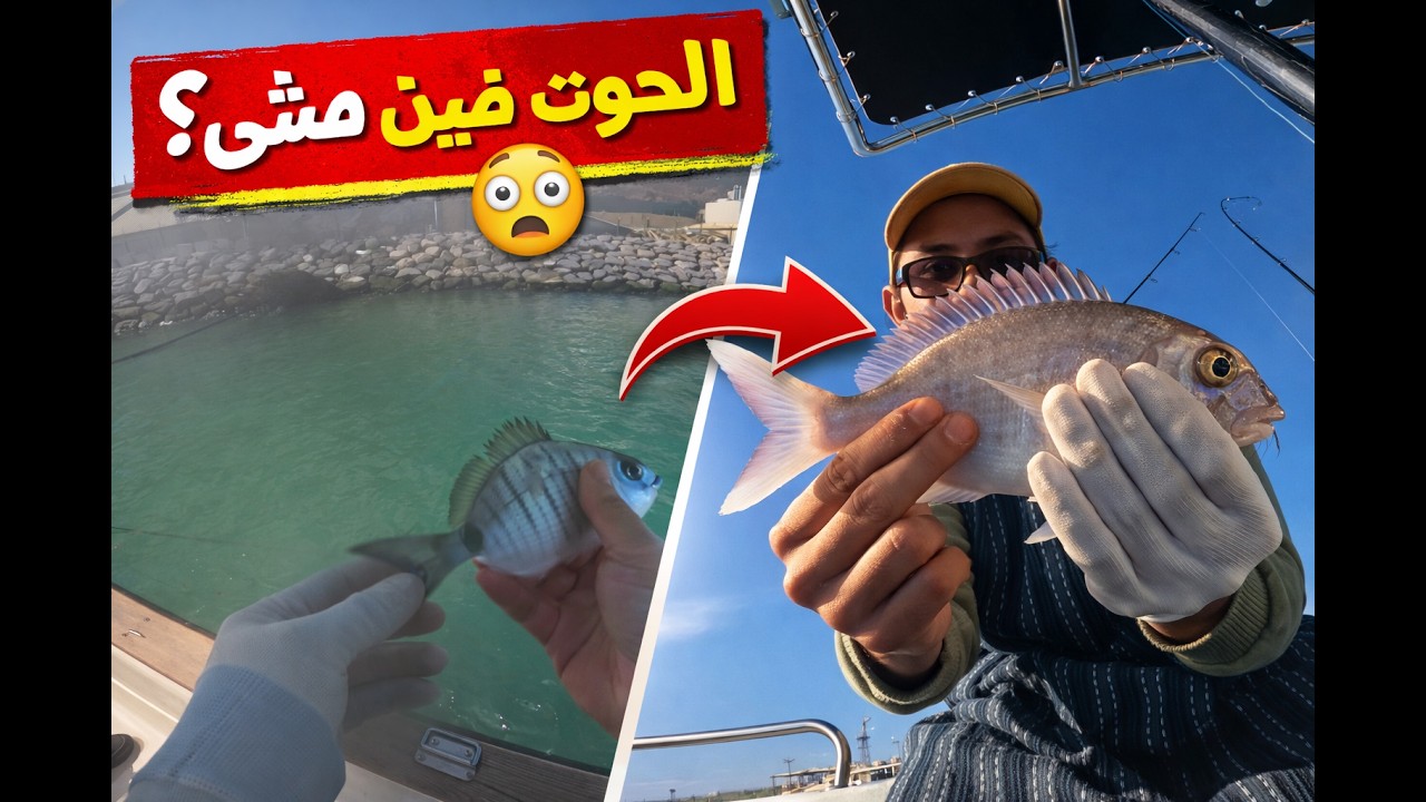 👉 “الحوت فين مشى؟ 😳 أول خرجة من بعد شهرين فالبحر!”