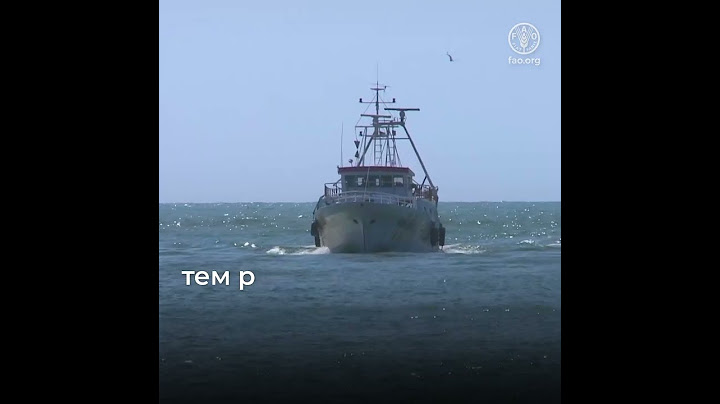 Три способа борьбы стран с незаконным, несообщаемым и нерегулируемым промыслом