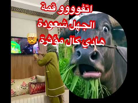 قيلوشة يطوبرزة السعودة والخرافات اليوتوب المغربي اكسبلور